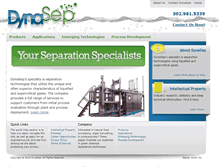 Tablet Screenshot of dynasep.com